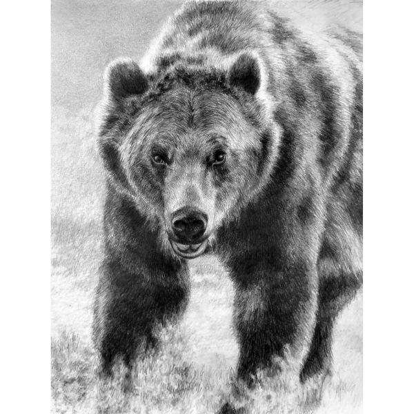 "Grizzly" SOLD