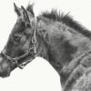Spring Promise - SOLD - Image 2