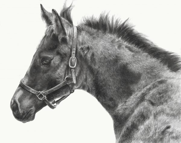Spring Promise - SOLD - Image 2
