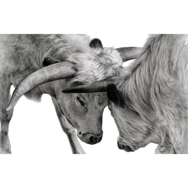 Seeing Eye to Eye - SOLD