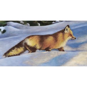 03 - Fox YNP