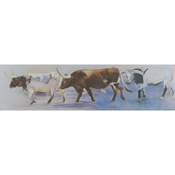 09 - Longhorns