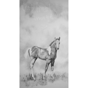 18 - Stormy