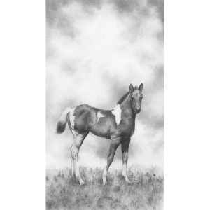18 - Stormy