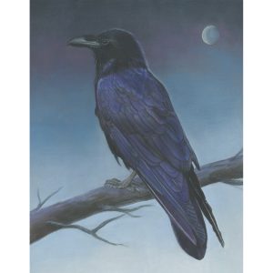 22 - Raven