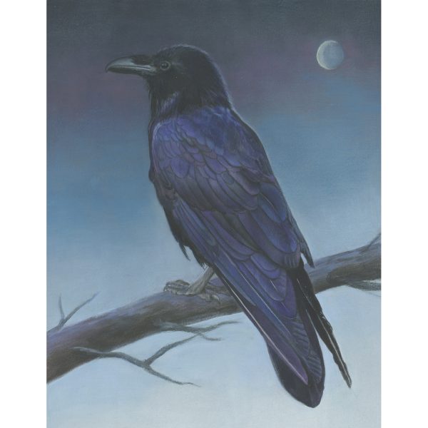 22 - Raven