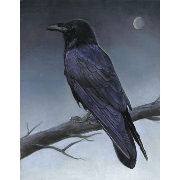 22 - Raven