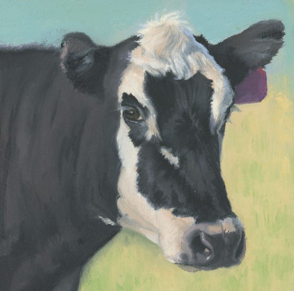 23 - Cow