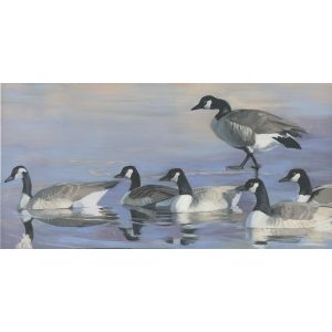 27 - Geese