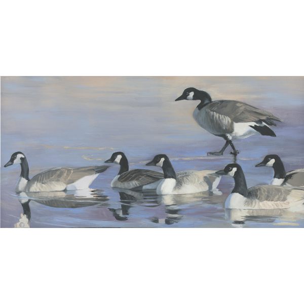 27 - Geese