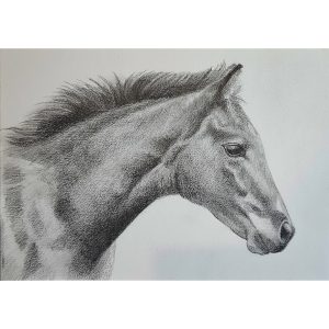 29 - Foal on panel