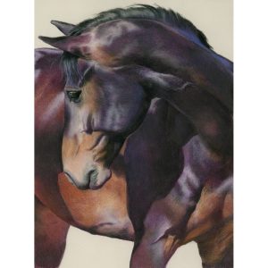 30 -Purple Horse