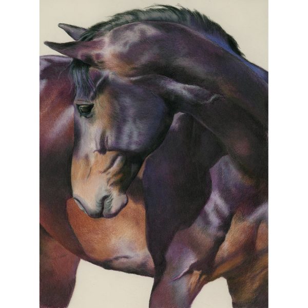 30 -Purple Horse