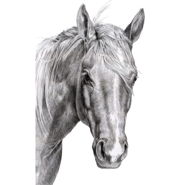 *Wyoming Wind - NEW!