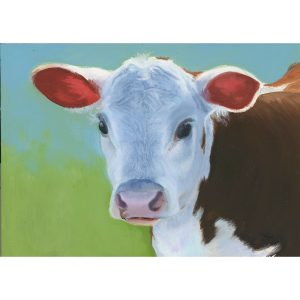 32 - Cute Calf