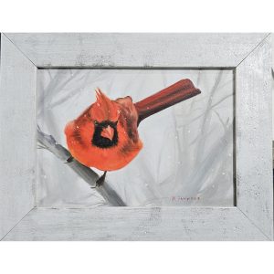 39 - Cardinal in Winter