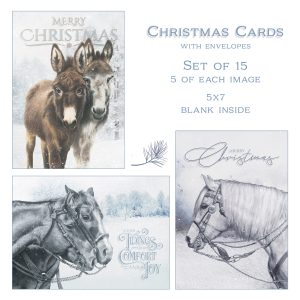 *Christmas Cards - NEW!