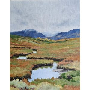 40 - Colorado Landscape
