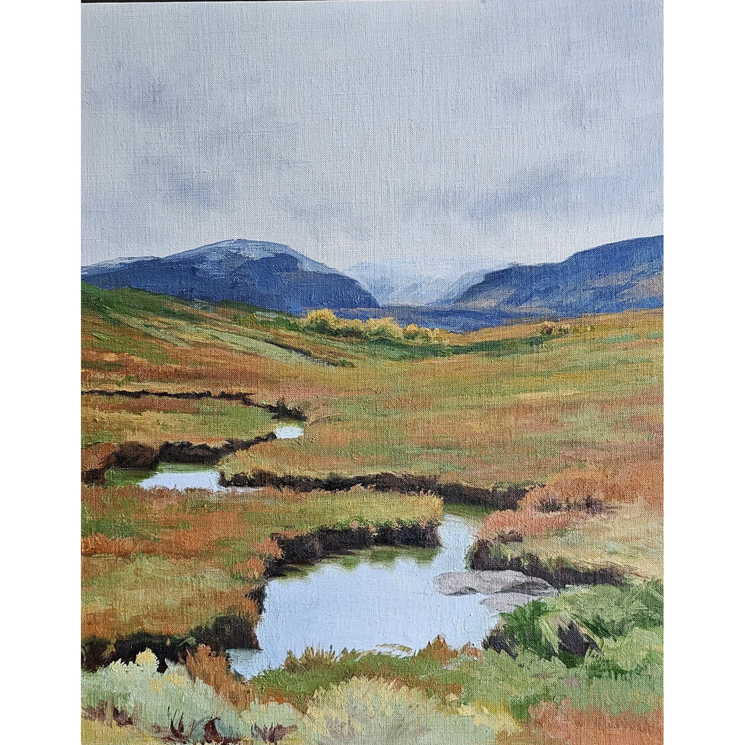40 - Colorado Landscape
