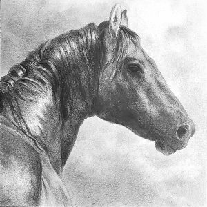 51 - Horse and Clouds