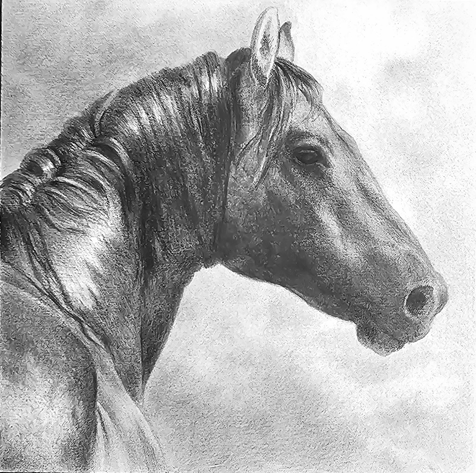 51 - Horse and Clouds