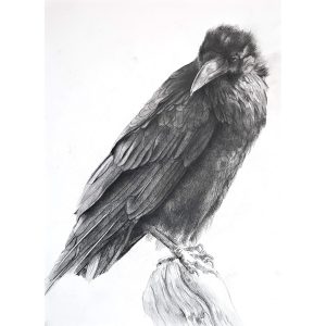 42 - Raven Pencil